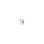 APPLE IPHONE 17 256GB LAVENDER MG6M4QN/A — imagen 1