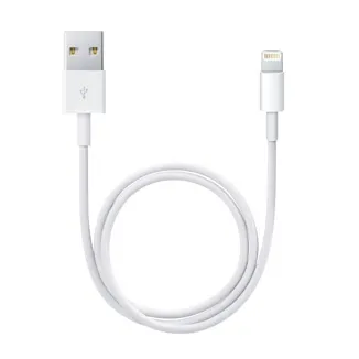APPLE CABLE LIGHTNING TO USB 0.5M WHITE ME291ZM/A
