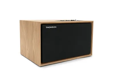 Altavoces estéreo Bluetooth Thomson WS302 50 W Madera y negro