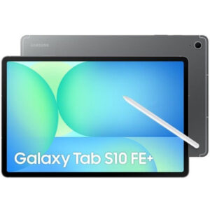 'SAMSUNG TAB S10 FE PLUS SM-X620 12+256GB WIFI GRAY'