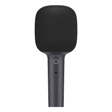 XIAOMI KARAOKE MICROPHONE